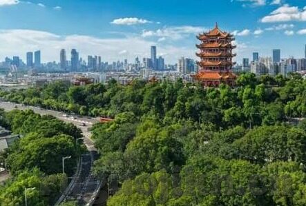 麻豆传媒网址入口-网海漫游，探寻真正价值——理性面对在线资源与信息