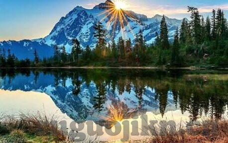 麻豆文化传媒寻小小-麻豆文化传媒与小小，互联网多元化的缩影