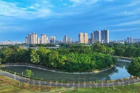 糖心直播app最新版下载-高效获取糖心直播app新版本的超实用教程